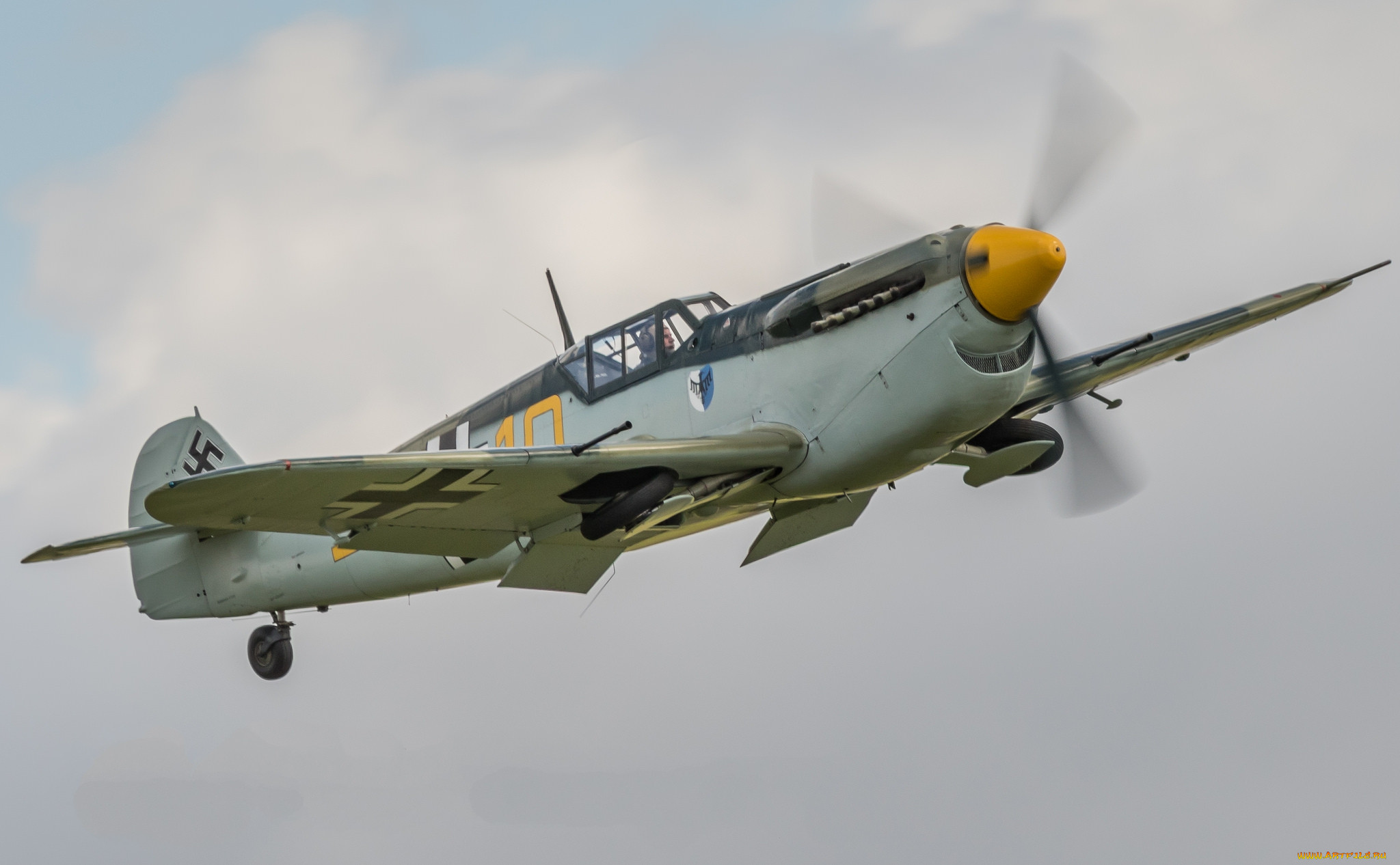 buchon, ,  , 